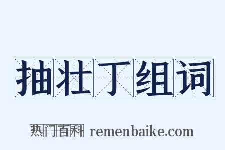 抽壮丁组词是什么意思的图片